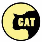 Cat Productions Profile Picture