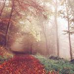 Kale Heller Profile Picture