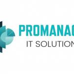 Promanage IT Solutions profile picture