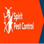 Spirit Pest Control Profile Picture