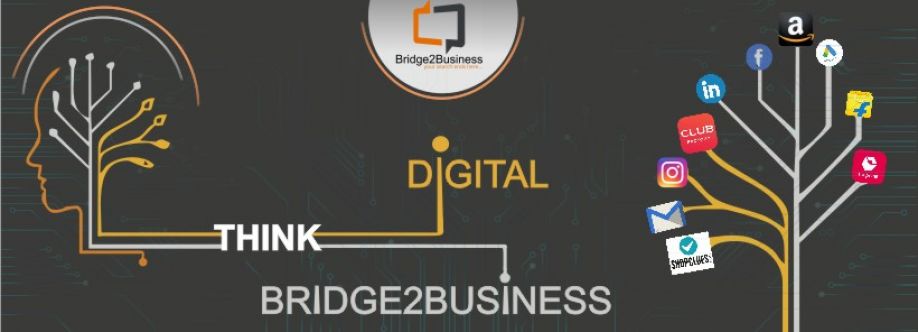 Bridge2Business Consultancy Cover Image