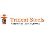 Trident Investment Castings Profile Picture