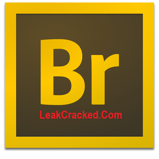 Adobe Bridge CC 12.0.3 Crack CS6 Free Download 2022 [New]