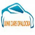 How Can You Get Cash For Your Junk Car in Opa Locka Profile Picture