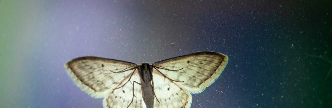 Moth Control Perth Cover Image