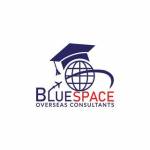Bluespace Overseas Profile Picture
