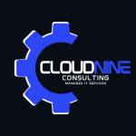 Cloud Nine Consulting Profile Picture