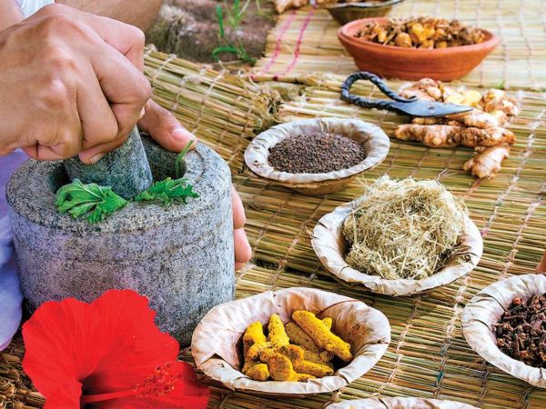 Ayurvedic Medicine Manufacturers in Maharashtra | Best Herbs