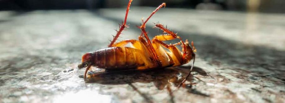 Preventive Cockroach Control Brisbane Cover Image