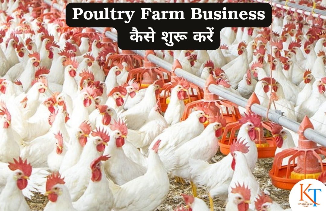 Poultry Farm Business कैसे शुरू करें , Murgi palan kaise kre