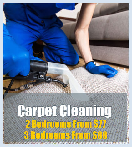 Best Carpet Cleaners Adelaide - Like Cleaning