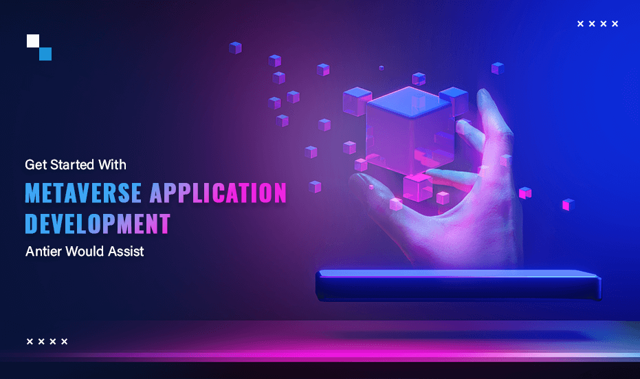 Professional Metaverse Application Development With Guidelines