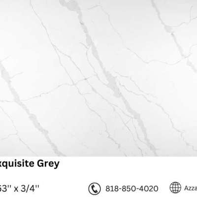 Calcutta Exquisite Grey Profile Picture