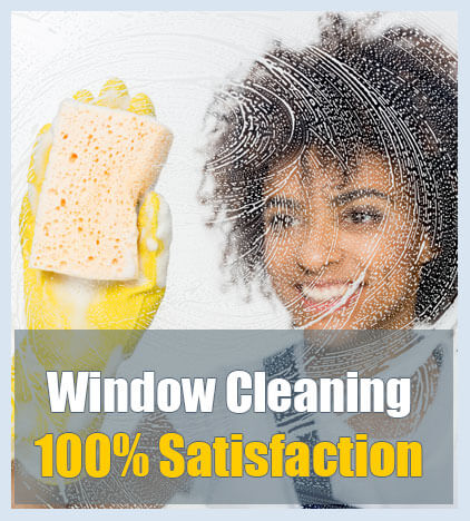 Adelaide's Window Cleaning Specialists