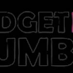budget ivf Profile Picture