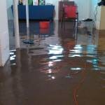 Flood Damage Restoration Ipswich Profile Picture