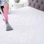 Mattress Cleaning Ipswich Profile Picture