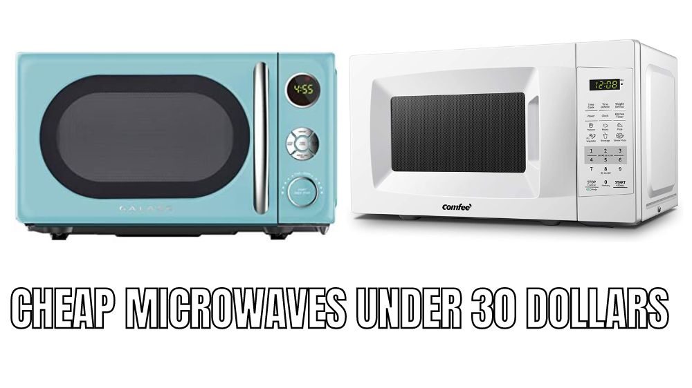 Top 8 Best cheap Microwaves under 30 dollars Reviews in 2023