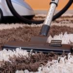 Rug Cleaning Ipswich Profile Picture