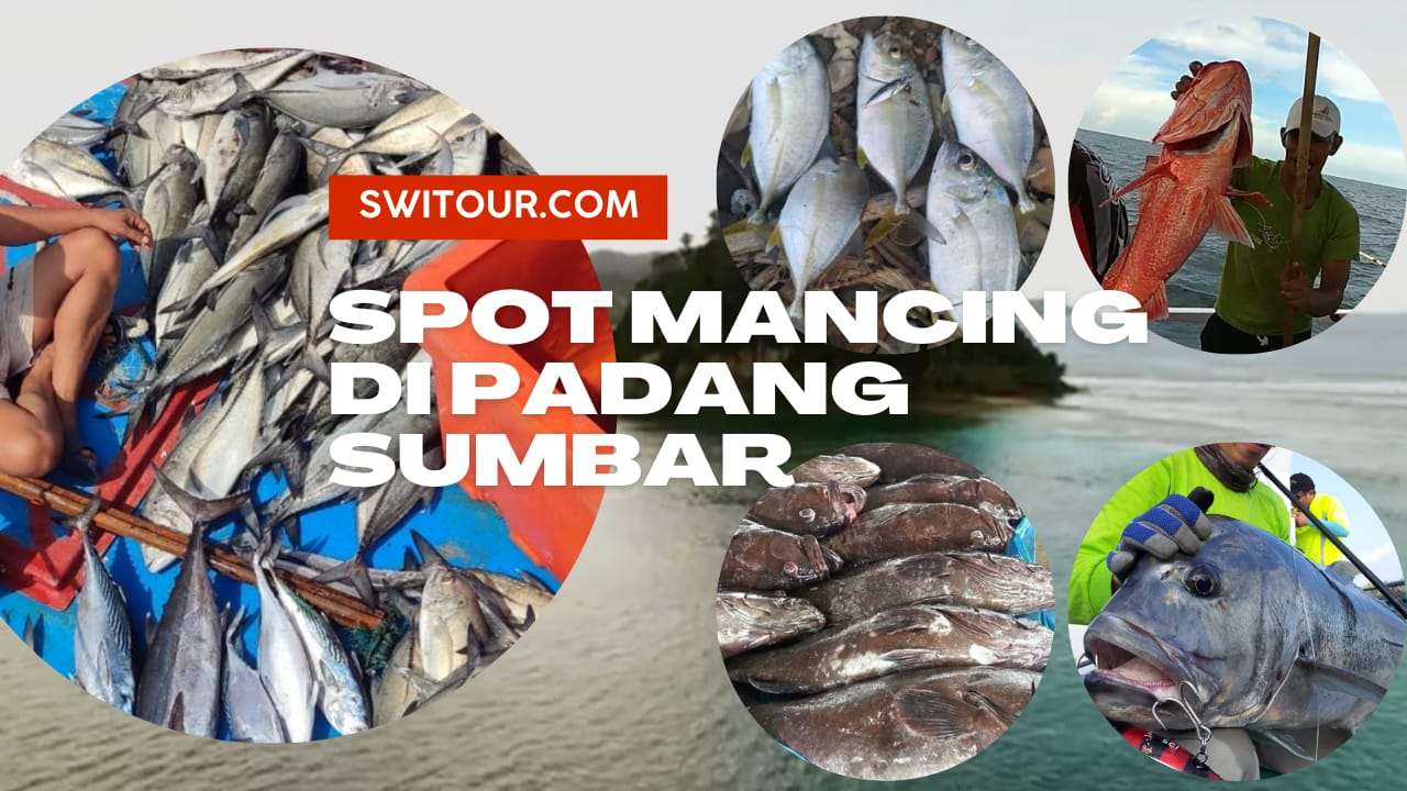 50+ Spot Mancing di Padang, Sumatera Barat (Sumbar), Tempat, Paket & Trip Mancing Mania Laut, Sungai Pinggiran - SWI Tour & Travel