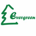 Evergreen Evergreen Profile Picture