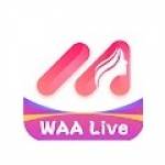 Waalive Profile Picture