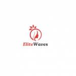 Elite Waves profile picture