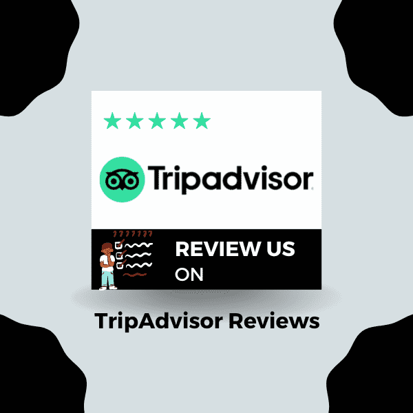 buy tripadvisor reviews! help you successfully project