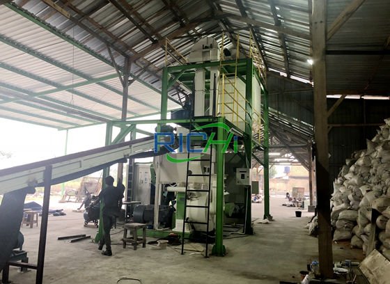 Biomass Wood Pellet Plant In Indonesia - RICHI Pellet Machine
