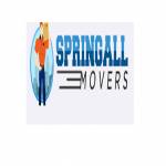 springall movers Profile Picture