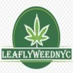 leaflyweed NYC Profile Picture