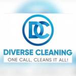 Diverse Cleaning Profile Picture