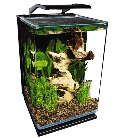 Best 5 Gallon Fish Tank | Aquarium Kit - Aquarium Desire