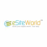 eSiteWorld TechnoLabs Pvt Ltd Profile Picture