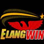 elang win Profile Picture