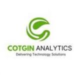 Website Designing Company in Delhi India Cotgin Analytics Profile Picture