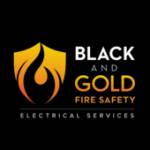 Black and Gold Fire and Electrical Profile Picture