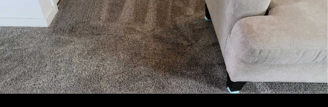 Magic Steam Carpet Cleaning Cover Image