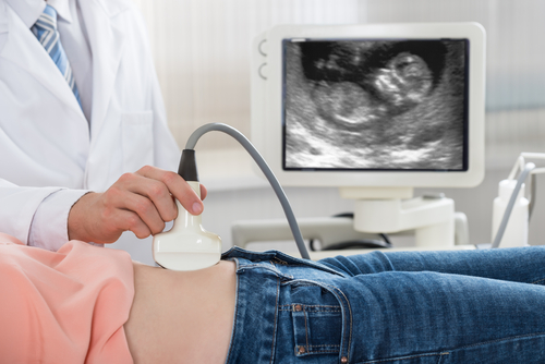 Fertility Clinic Florida & Vermont | Success Rates