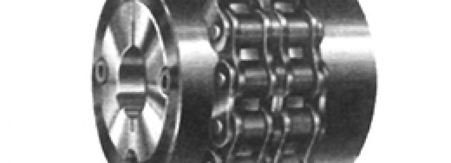 China chain coupling Cover Image