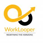 work looper consultants Profile Picture