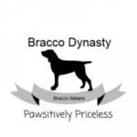 braccodynasty Profile Picture