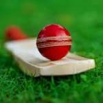 cricket idprovider profile picture
