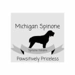 Michigan Spinone Profile Picture