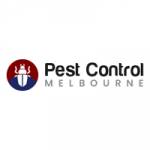 Bee Control Melbourne Profile Picture