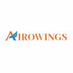 Airowings Wings Profile Picture