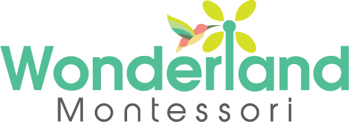 Wonderland Montessori - Best Montessori School in Valley Ranch, TX