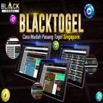 BLACKTOGEL live casino online Profile Picture