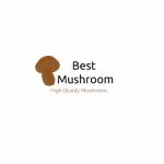 Best Mushroom Shop Profile Picture