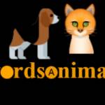 Words Animals Profile Picture